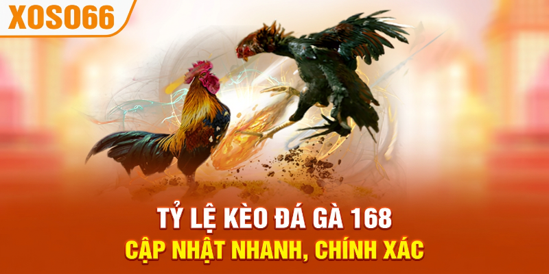 TỶ LỆ KÈO ĐÁ Gà 168 CẬP NHẬT NHANH, CHÍNH XÁC