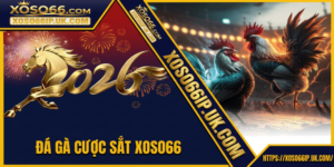 ĐÁ GÀ CƯỢC SẮT XOSO66