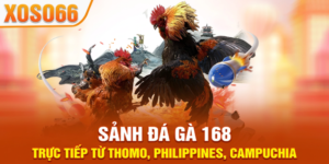 ĐÁ GÀ 168
